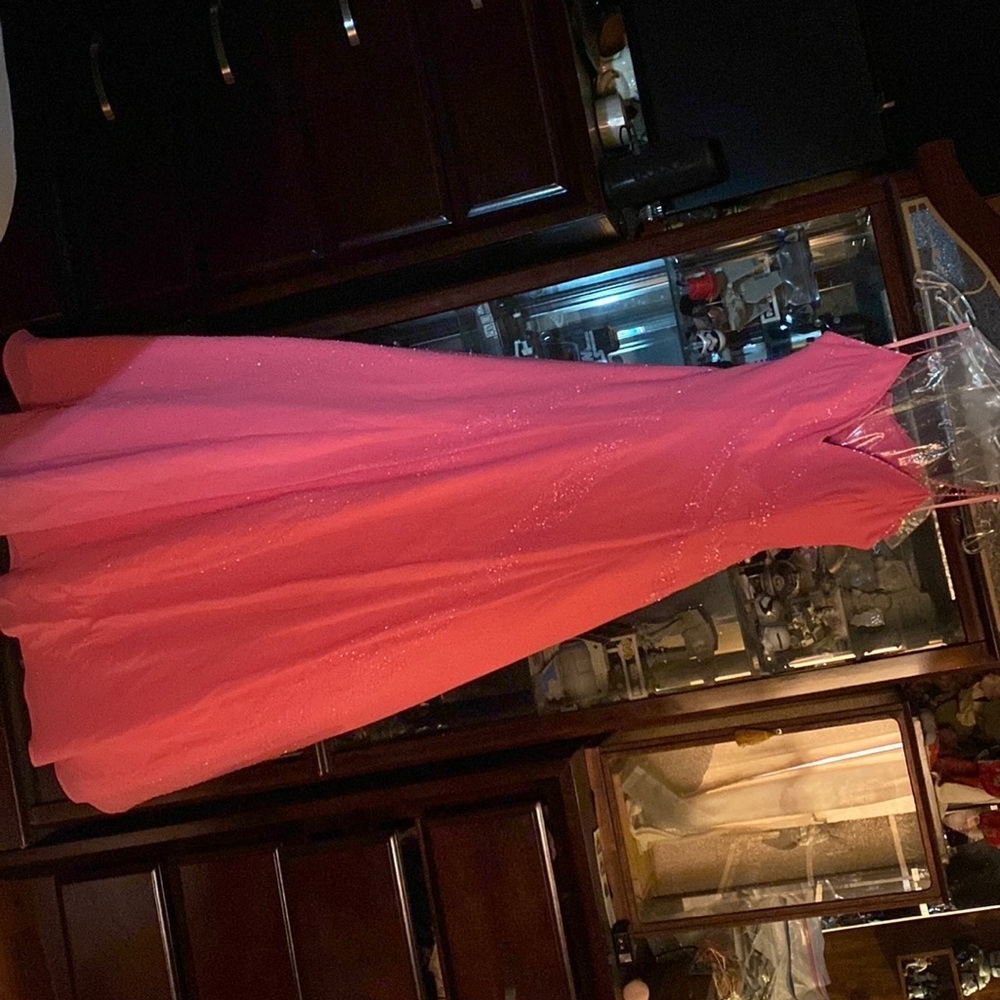 Pink Couture by Adagio Bella size Medium